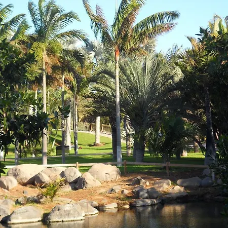 Апартаменты Bahia Vista Al Mar Санта-Крус-де-Тенерифе